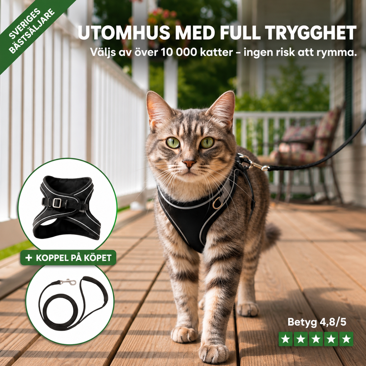 KattTrygg™ – Säker och bekväm kattsele för äventyr tillsammans