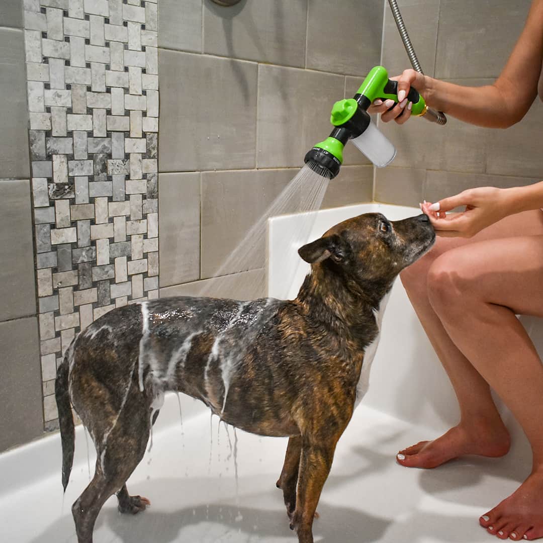HundDusch™ – Gör hundtvätten enklare, snabbare och smidigare