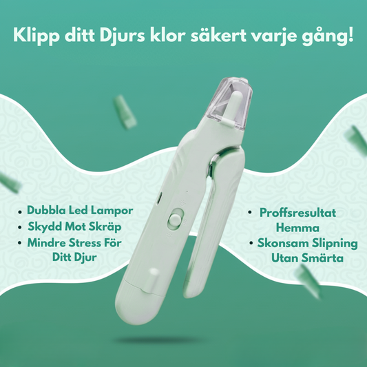 KloLjus- Se pulpan. Klipp säkert