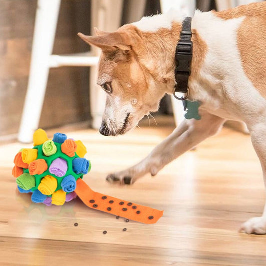 AktivNos™ – Den smarta sniffbollen som aktiverar, stimulerar och underhåller din hund