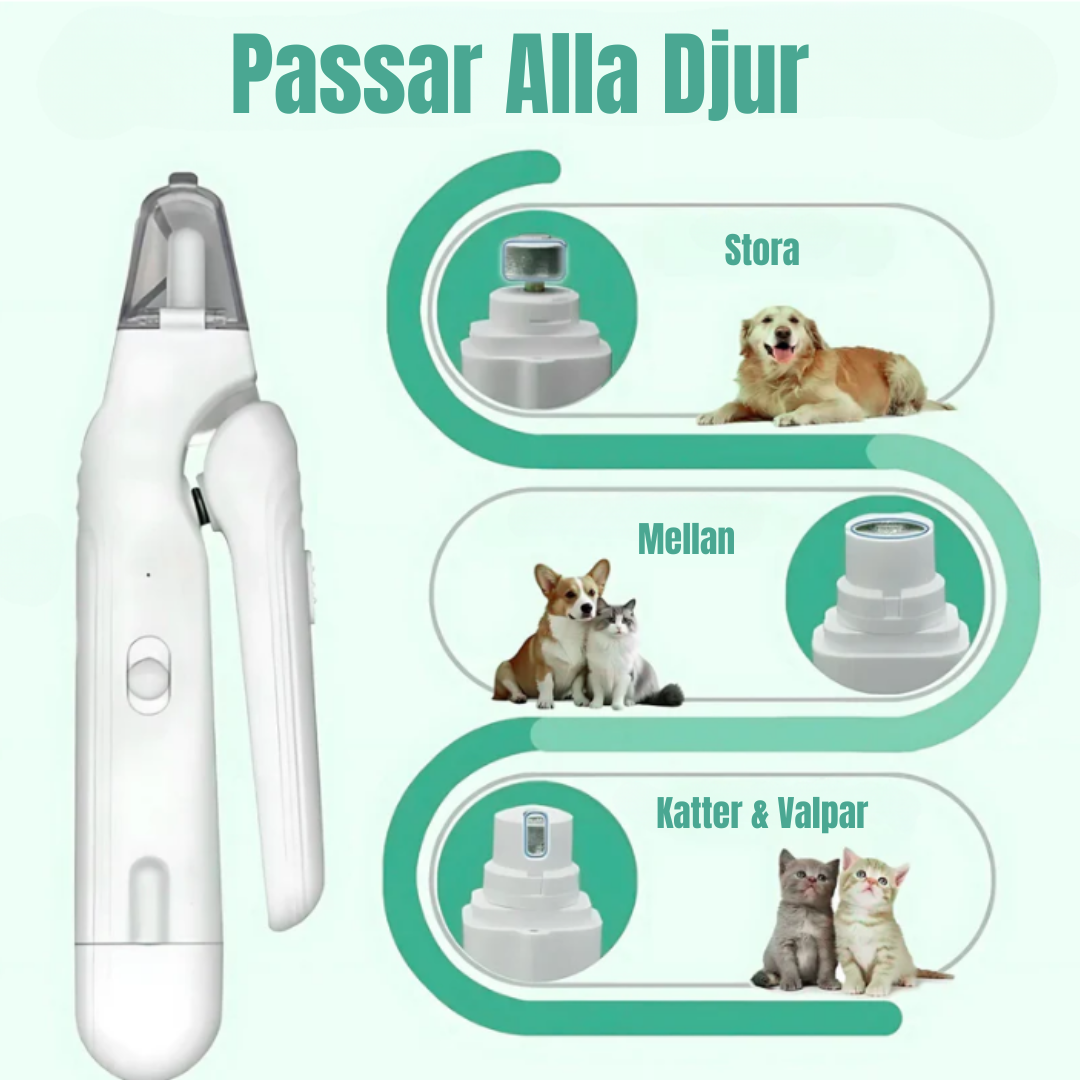 KloLjus- Se pulpan. Klipp säkert