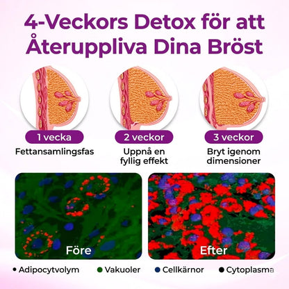 BystLyft™ – Uppstramande & Volymgivande Bystolja