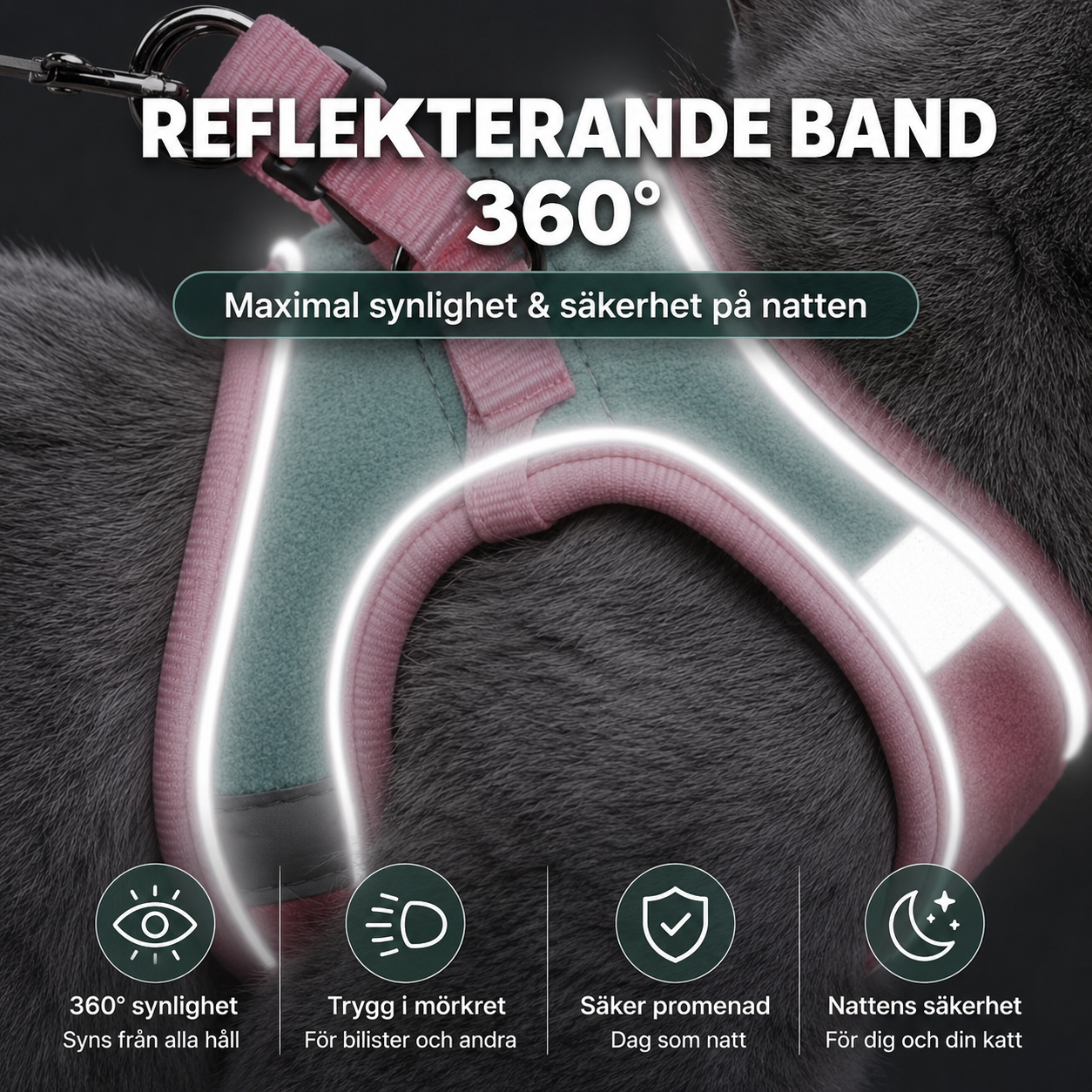 KattTrygg™ – Säker och bekväm kattsele för äventyr tillsammans