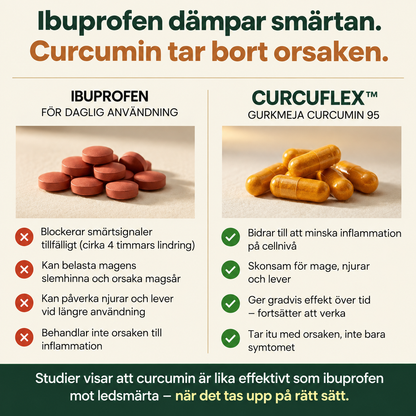 CurcuFlex™ – Gurkmeja med 95 % curcuminoider