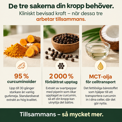 CurcuFlex™ – Gurkmeja med 95 % curcuminoider