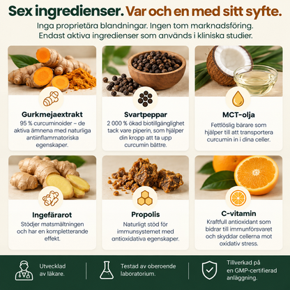 CurcuFlex™ – Gurkmeja med 95 % curcuminoider