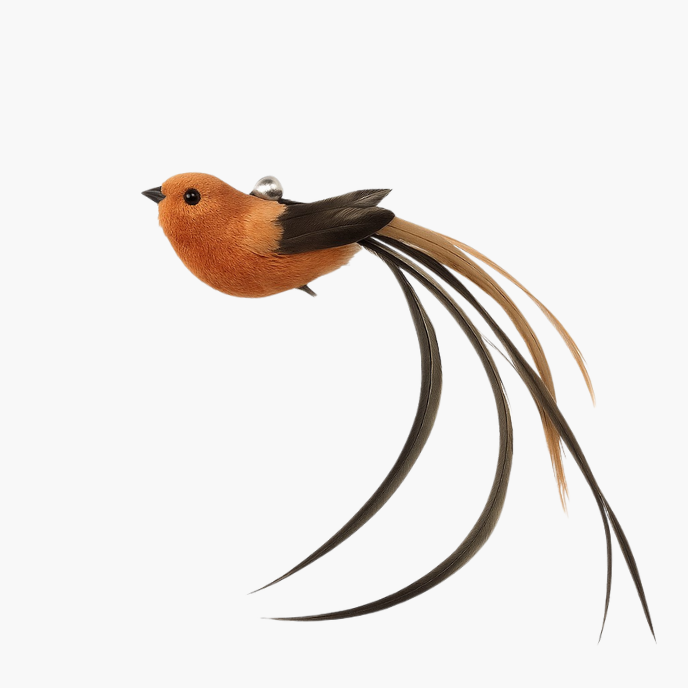 Jaktfågeln – För katter som älskar att jaga