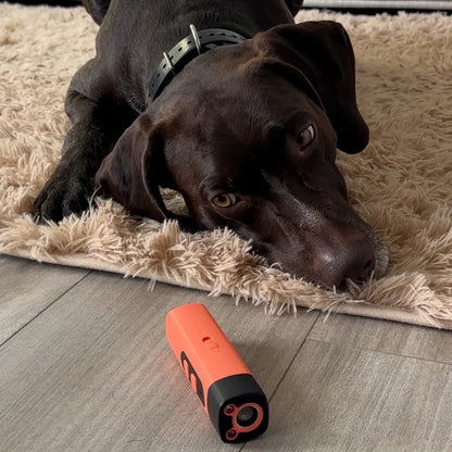 LydLyn| Stoppa hundens skällande med ett klick