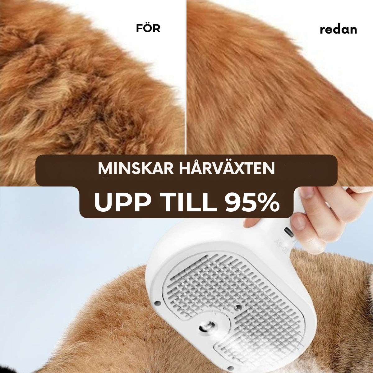 PälsLugn Pro  Professionell pälsvård hemma