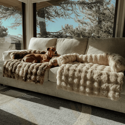 Lyxig Hundfilt för Soffa – Skydd, Komfort &amp; Skandinavisk Design