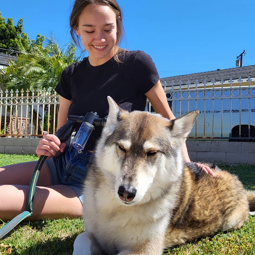 HundDusch™ – Gör hundtvätten enklare, snabbare och smidigare