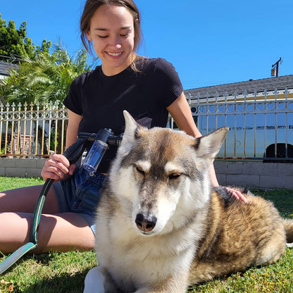 HundDusch™ – Gör hundtvätten enklare, snabbare och smidigare