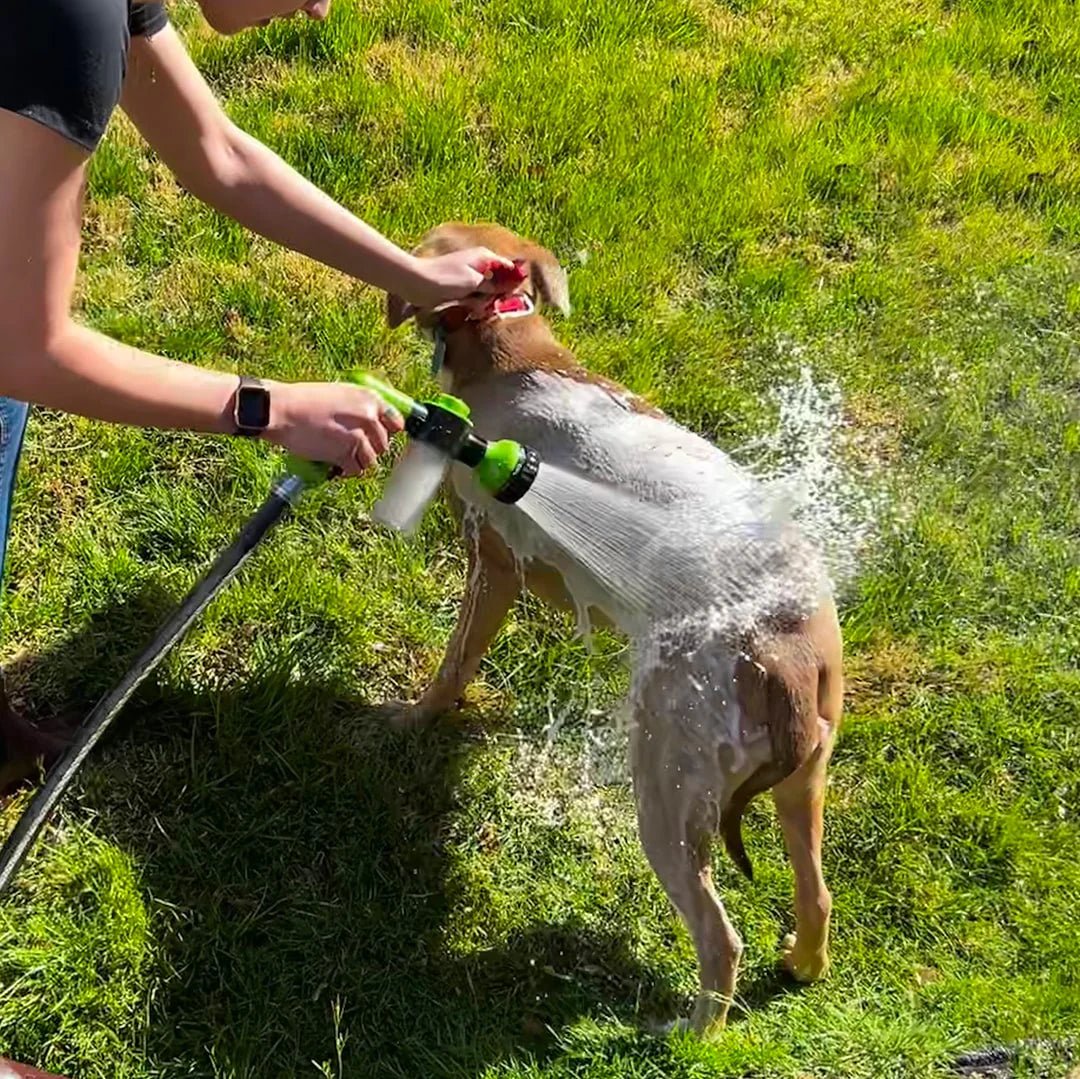 HundDusch™ – Gör hundtvätten enklare, snabbare och smidigare