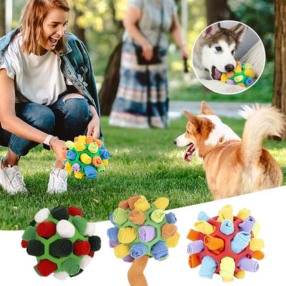 AktivNos™ – Den smarta sniffbollen som aktiverar, stimulerar och underhåller din hund