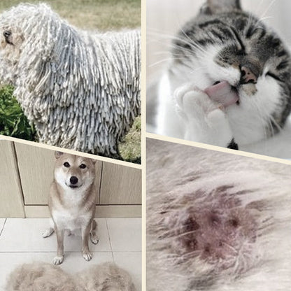 PälsVän™ – Dubbelsidig pälsborste för hundar och katter